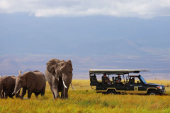Elewana Tortilis Camp Amboseli