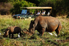 Elsa’s Kopje Lodge