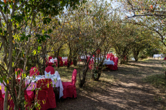 Mara Serena Safari Lodge
