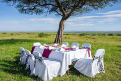 Sarova mara game camp