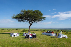 Sarova mara game camp
