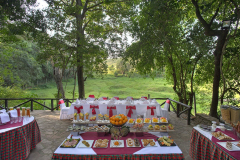 Sarova mara game camp