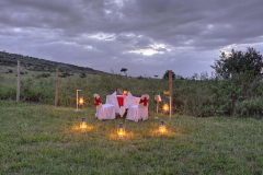 Sarova mara game camp