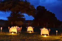 Sarova mara game camp